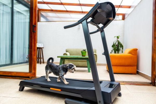 Treadmill Installation in Mechanicsville