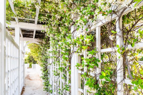 Trellis Repair in Mechanicsville