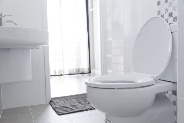 Toilet Seat Installation in Mechanicsville