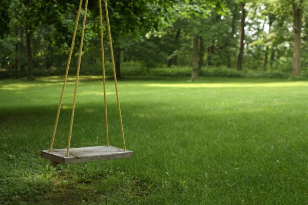 Rope Swing Installation in Mechanicsville