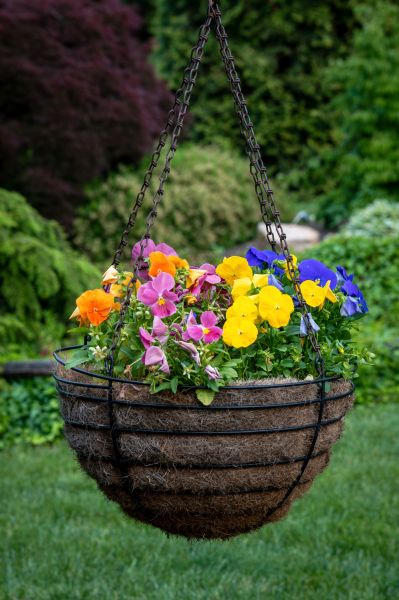 Hanging Basket Installation in Mechanicsville