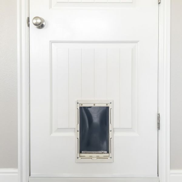 Pet Door Repair in Mechanicsville