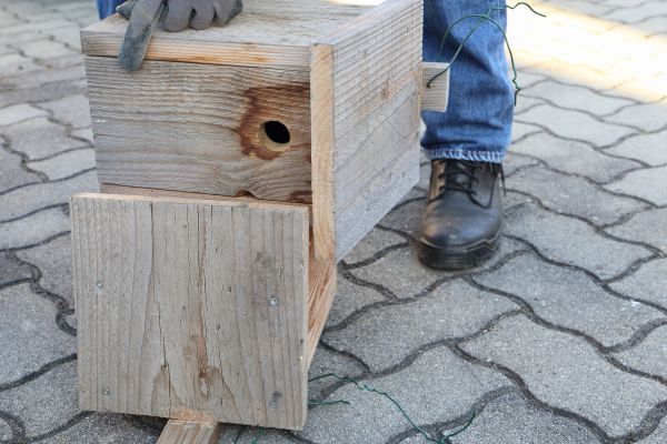 Birdhouse Mounting in Mechanicsville