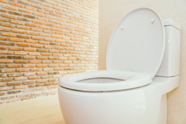 Toilet Seat Repair in Mechanicsville